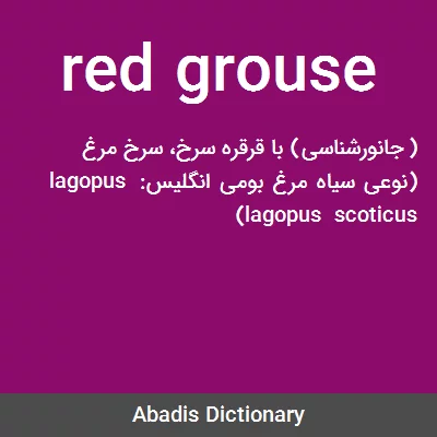 معنی red grouse